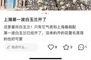 开云app官网下载体育版苹果截图1